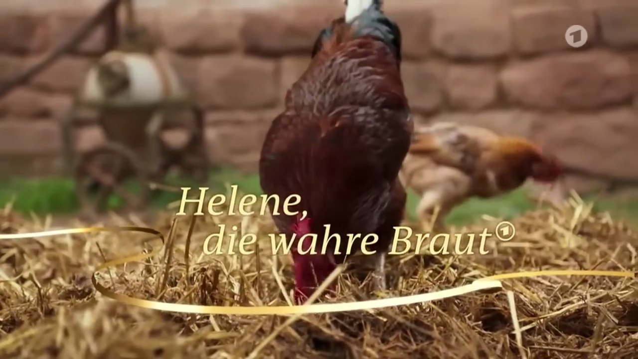 Helene, die wahre Braut Film deutsch