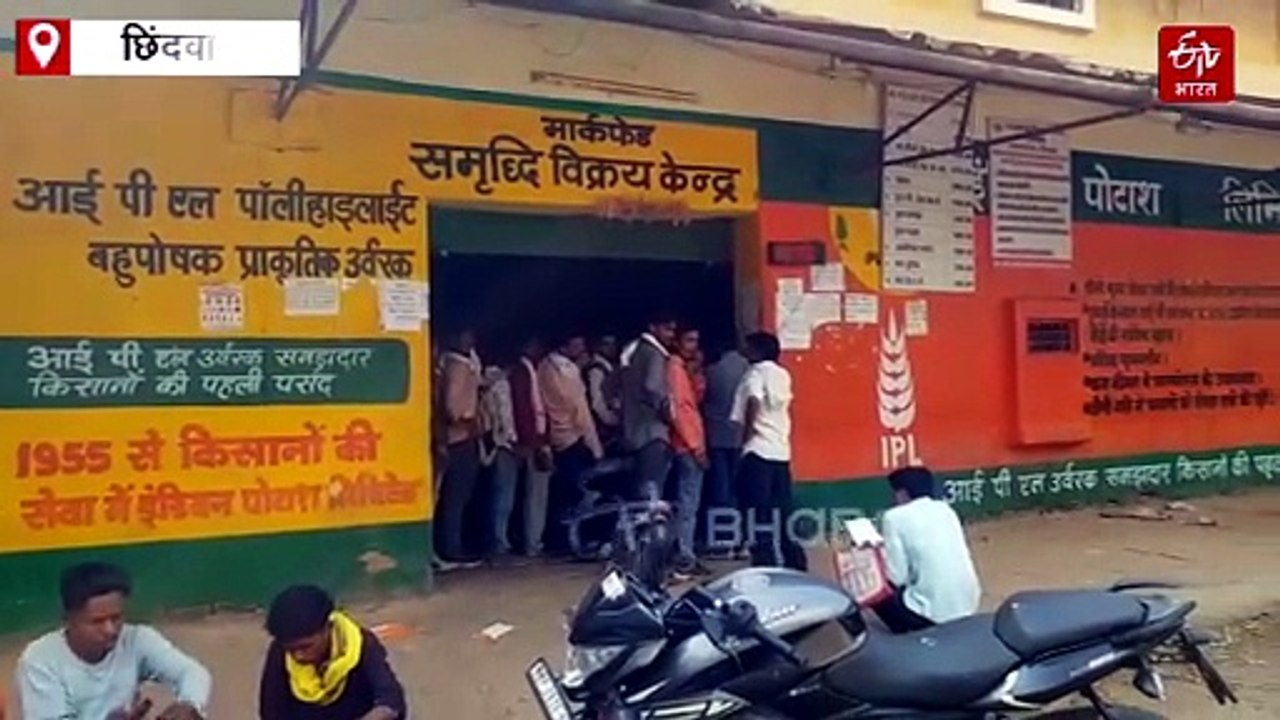 छिंदवाड़ा में DAP और यूरिया खाद के लिए मारामारी, दर-दर भटकने को मजबूर अन्नदाता