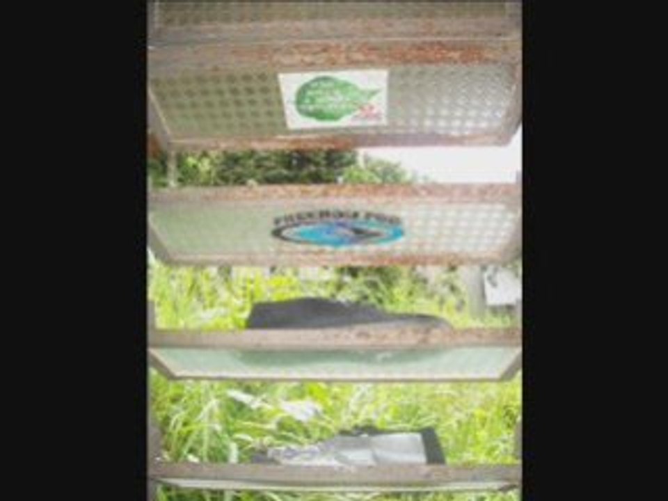 Coisas Novas e Antigas