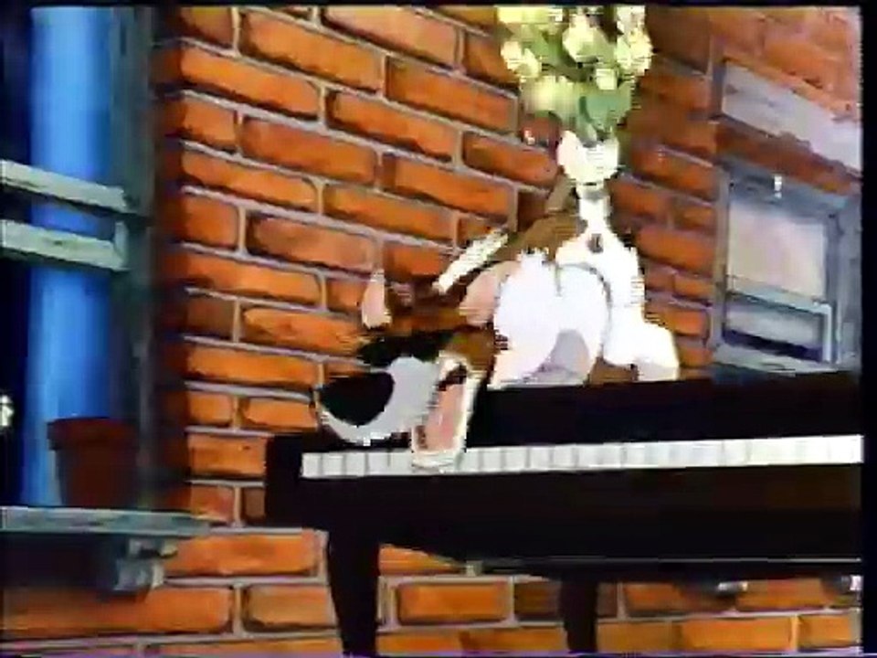 Opening to Cinderella 1988 VHS