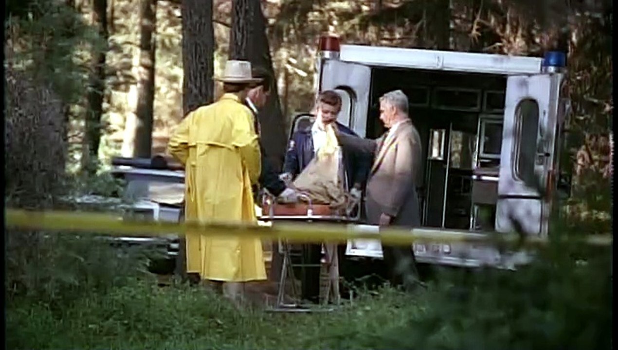Pinocchio's Revenge 1996 1