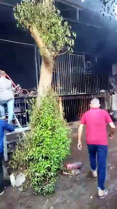 نشوب حــ.ريق في محل قطع غيار سيارات بمنطقة منيل شيحة