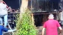 نشوب حــ.ريق في محل قطع غيار سيارات بمنطقة منيل شيحة