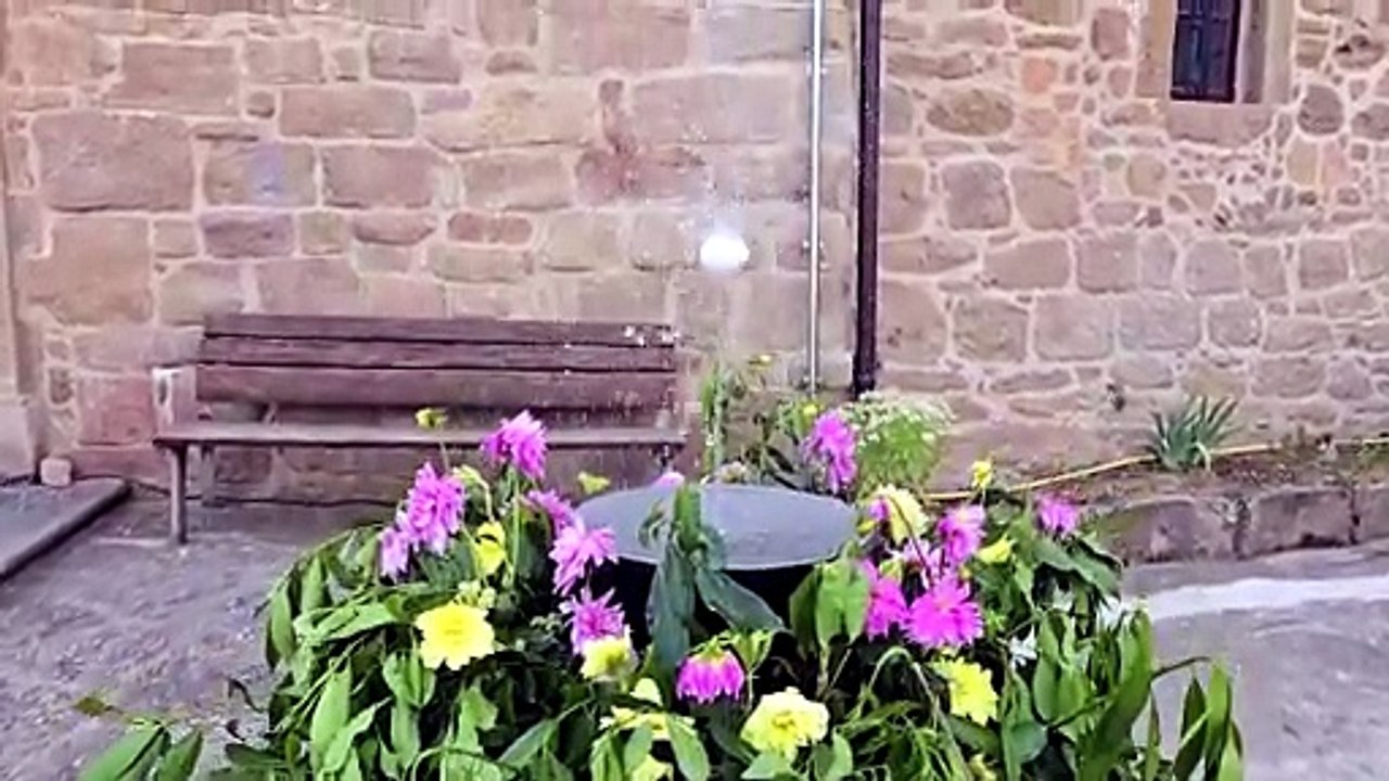 L'ou com balla. Diada de Corpus a Ardèvol.