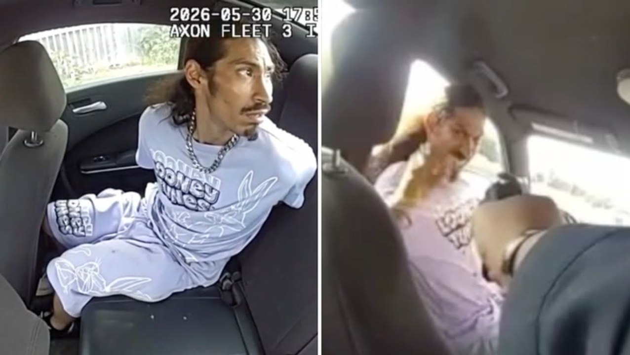 Suspect slips handcuffs and steals police car with officer in the back before leaping from moving vehicle