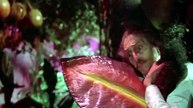 Der 6. Kontinent (1976)