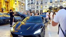 Billionaire choice monaco