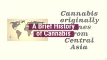 A Brief History Of Cannabis