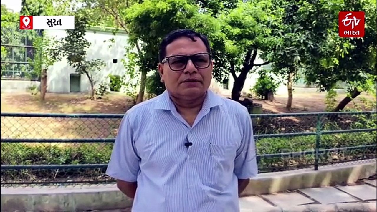 સુરત: સરથાણા નેચર પાર્કમાં પાંજરામાં આરામ કરતા વાઘને પથ્થર મારીને પજવણી, વીડિયો વાઈરલ
