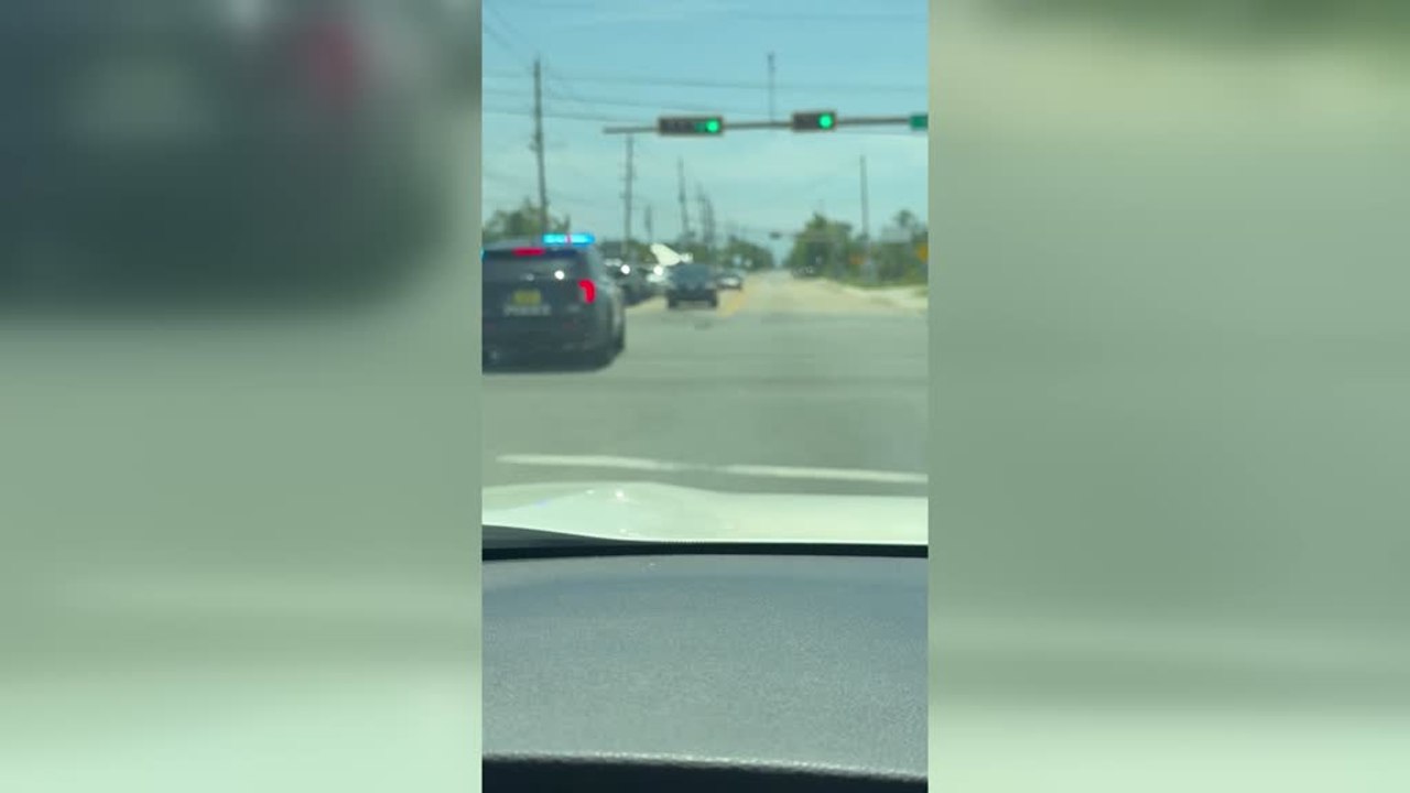 Good Samaritan and Cop Rescue Turtle From Busy Florida Intersection