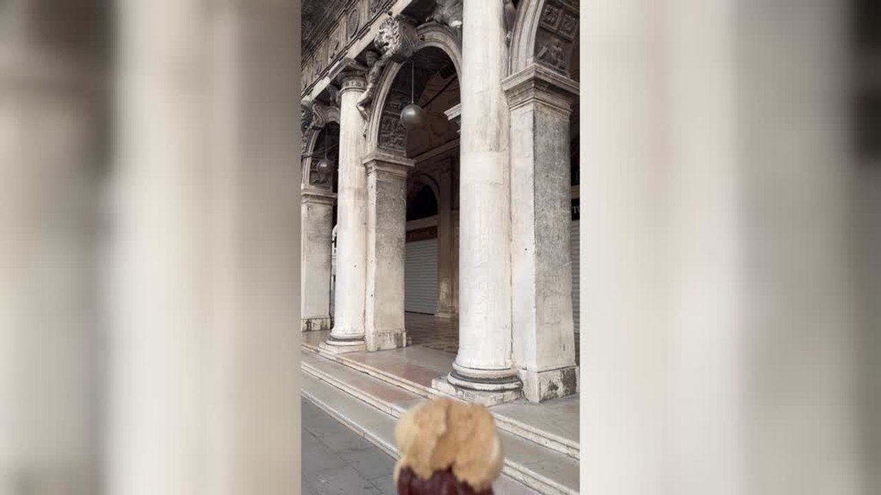 Aggressive Seagull Steals Toursit's Ice Cream