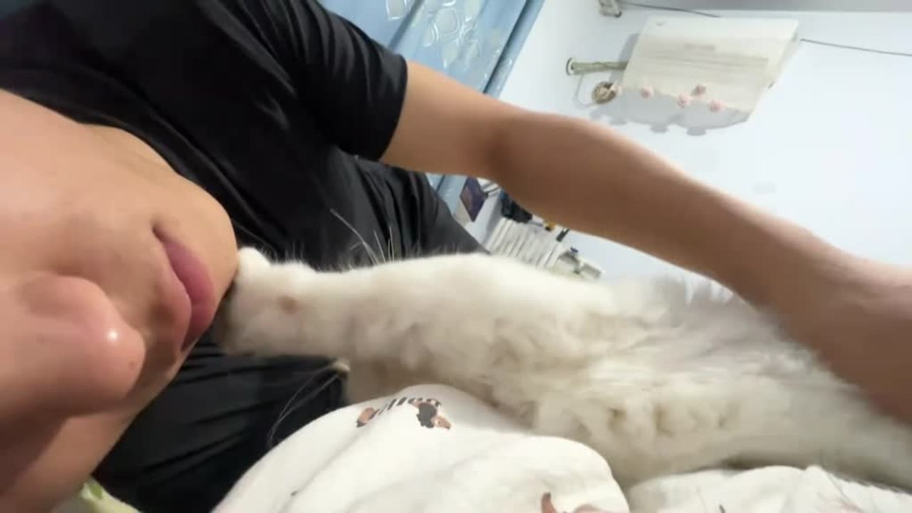 Cat Insists on Holding Owner’s Face in Adorable Bedtime Game
