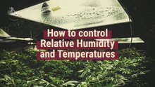 How to control relative humidity and temperature - Indoor Cannabis Growing