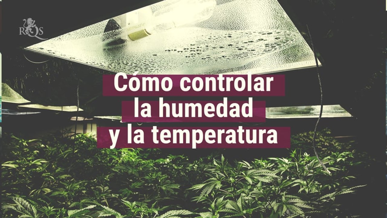 Cómo controlar la humedad y la temperatura