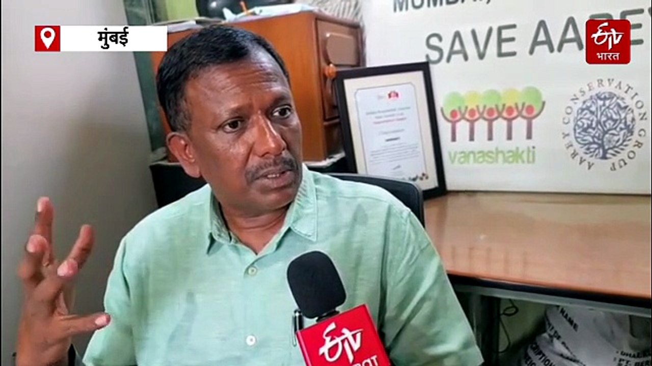 दरवर्षी तब्बल 50 लाख किलो प्लास्टिक समुद्रात होते जमा; पाणी थेट मुंबईत घुसण्याचा धोका