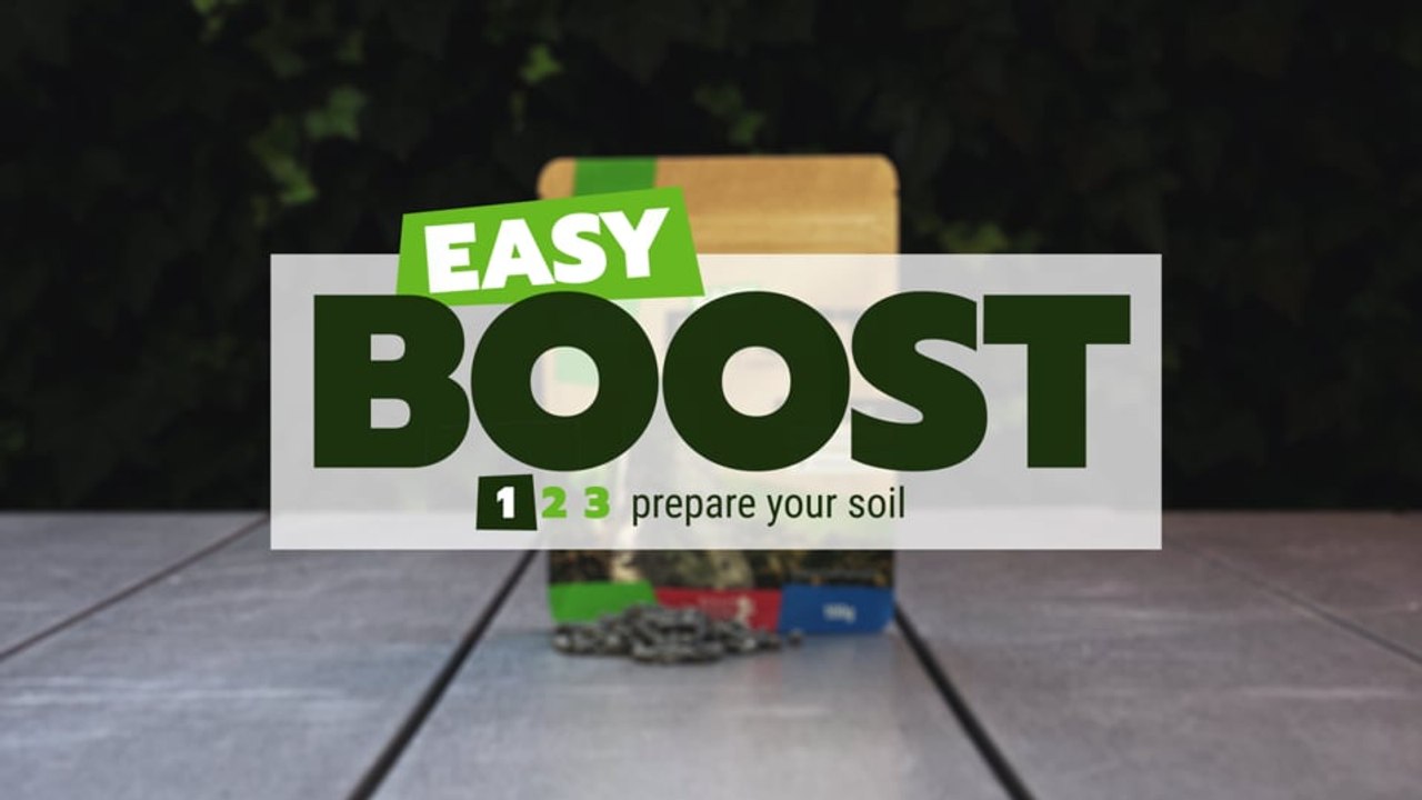 Easy Boost Nutrizione Organica