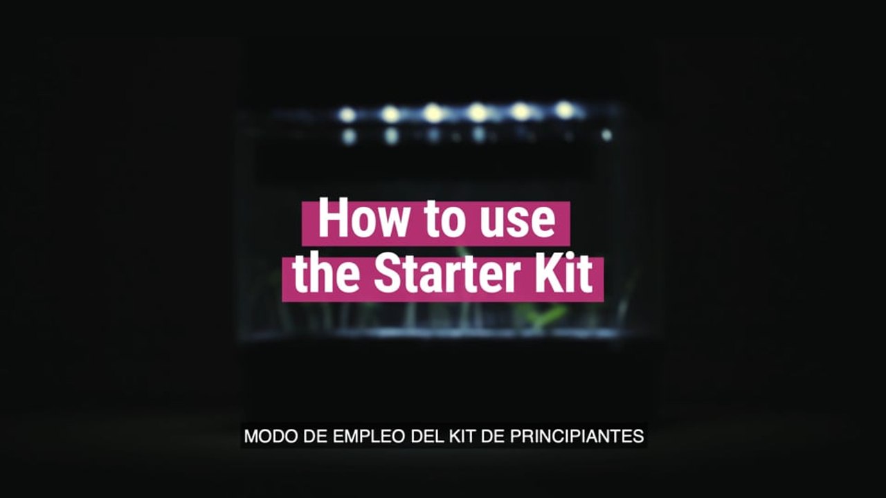 Cómo usar el Starter Kit de RQS
