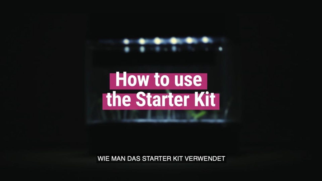 Wie man das Starter Kit Feminized von RQS verwendet