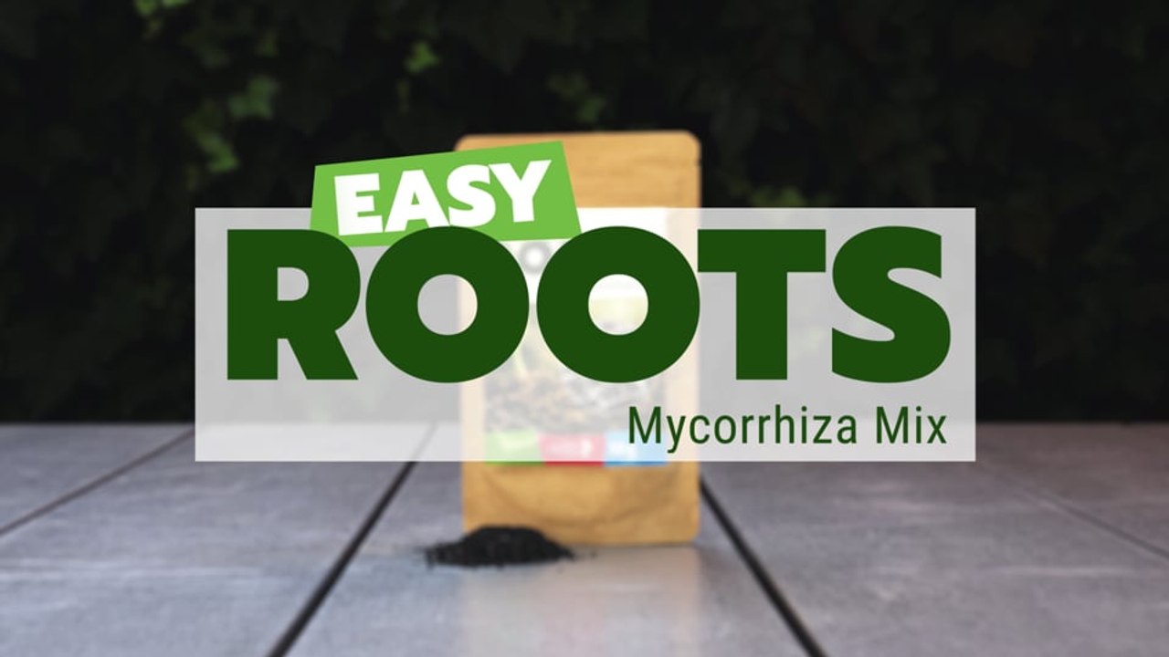 Easy Roots – Mykorrhiza-Mix: Von Mutter Natur erprobt und getestet