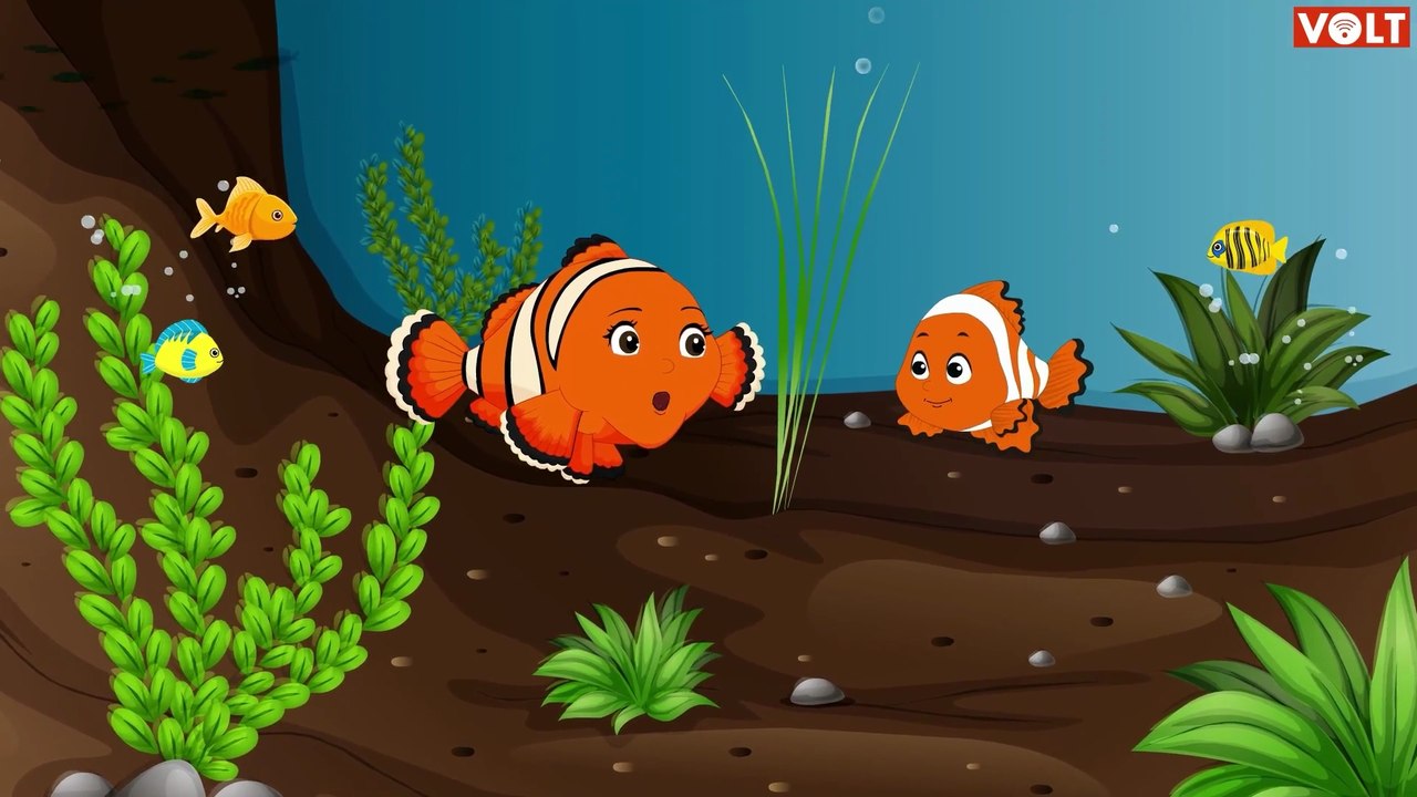 Sound of SH | Learn Phonics with VOLT Learning!