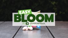 Easy Bloom Booster Tablet [ Organic Cannabis nutrition]