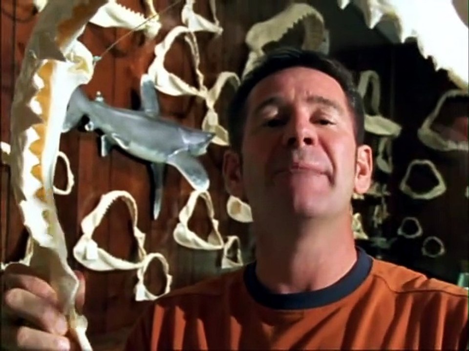 Bull Shark World's Deadliest Shark
