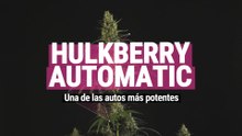 Hulkberry Automatic - Una de las autos más potentes