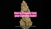 Comment affiner son cannabis