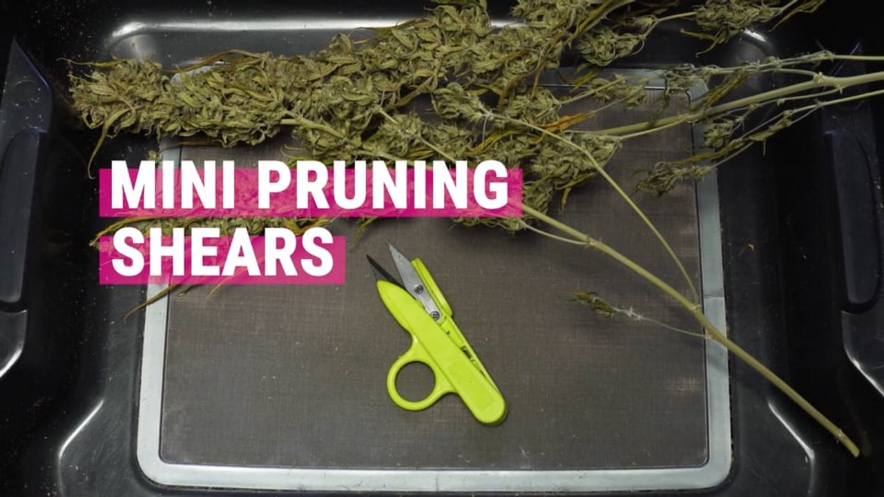 Mini Pruning Shears