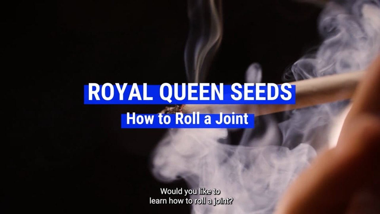 How to Roll a Joint