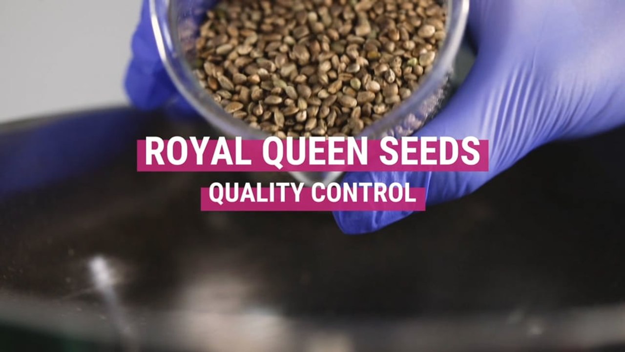RQS Quality Control