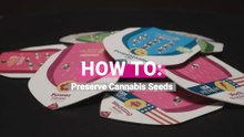 How To Properly Preserve Cannabis Seeds