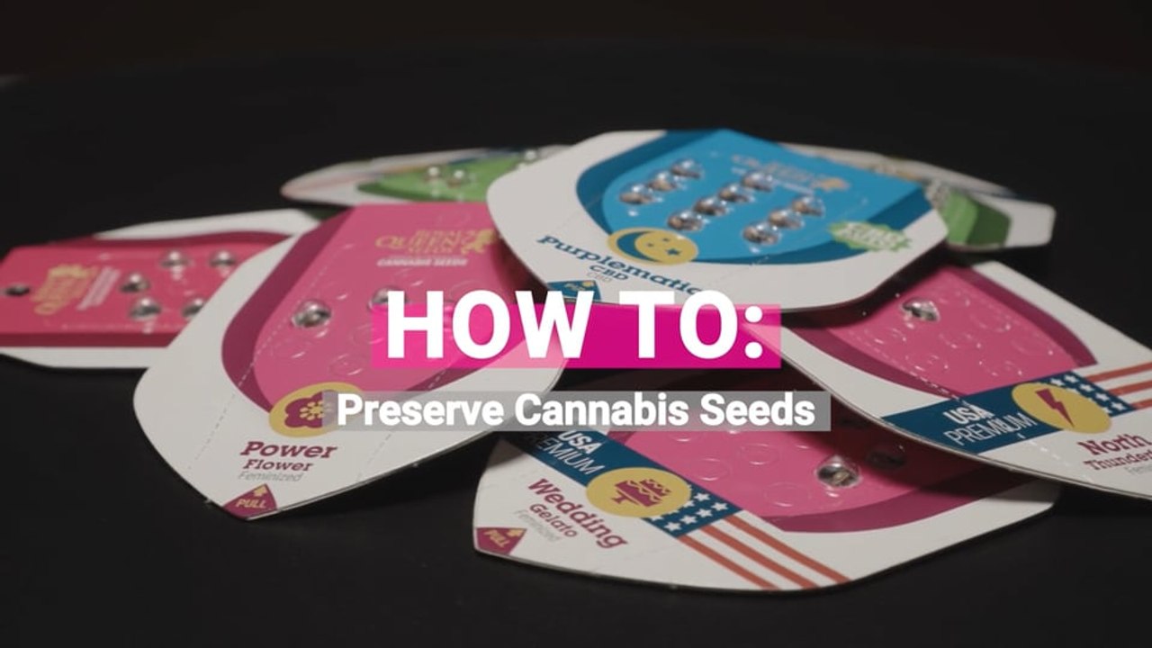 How To Properly Preserve Cannabis Seeds