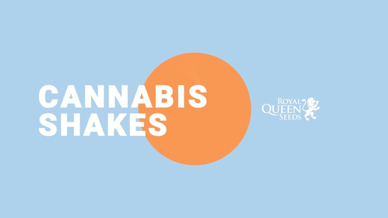 Cannabis Shakes