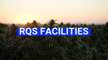 RQS Growing Experience