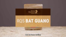 Bat Guano: The Cannabis Superfood
