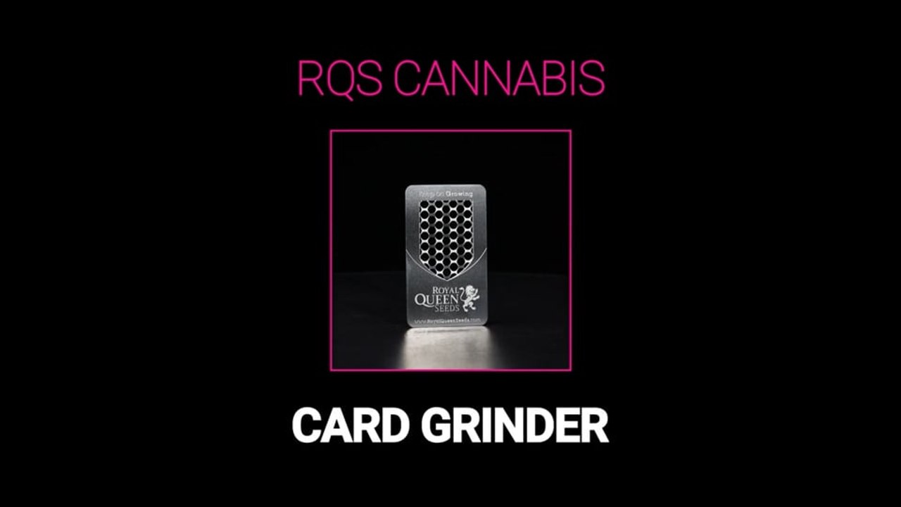 RQS Cannabis Card Grinder