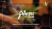 Growers Club by Royal Queen Seeds