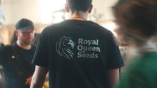 Royal Queen Seeds | Wie We Zijn