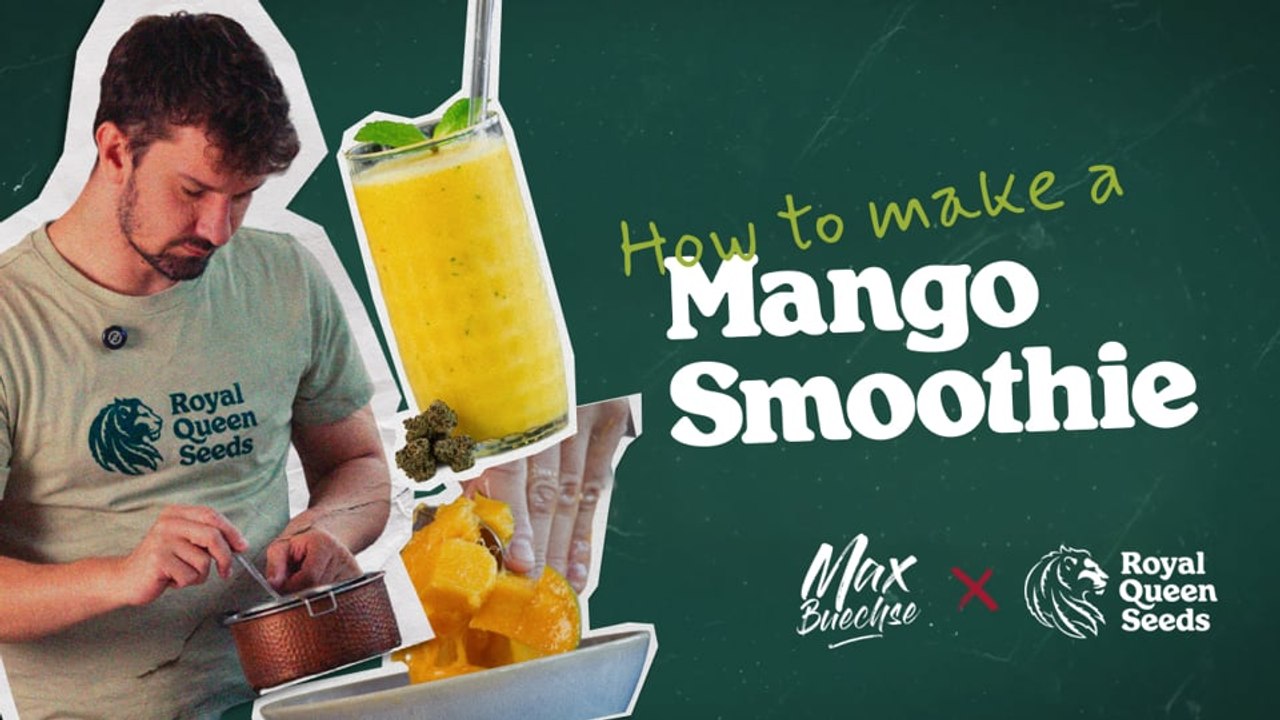 How to make a Weed Mango Smoothie with MCT Oil [Cooking Guide Ep. 7]
