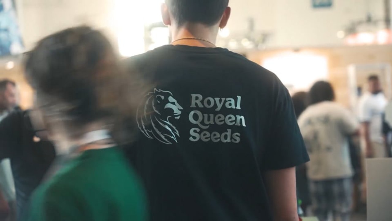 Royal Queen Seeds | Wer Wir Sind
