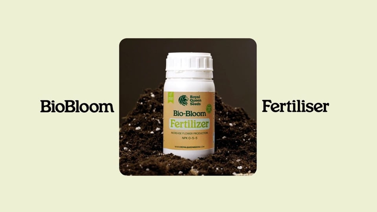 Bio-Bloom Fertilizer | Feed Your Flowers Natura...