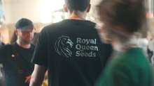 Royal Queen Seeds | Quiénes Somos