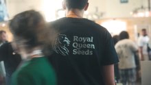 Royal Queen Seeds | Qui Nous Sommes