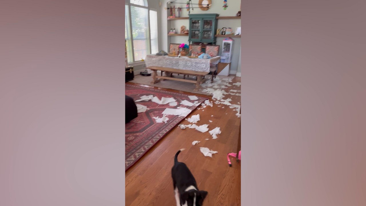 Kids Wrecking Havoc