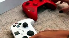 The Great Xbox Conundrum: Is It Fixable?