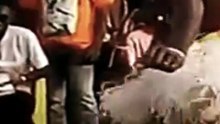 FORCÉ TU ES FAN!! le peuple plus doux au monde