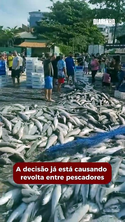 Ministério da Pesca mandar encerrar a pesca artesanal da tainha