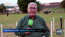 Veto à carne brasileira por parte da União Europeia gera preocupação no setor pecuário