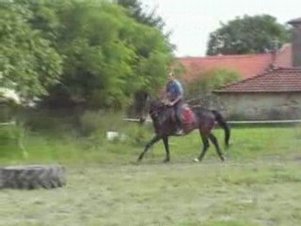 Les écuries de Grimon